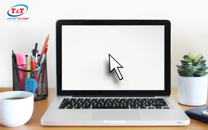 Mất con trỏ chuột trên màn hình laptop Asus nguyên nhân và cách khắc phục đơn giản