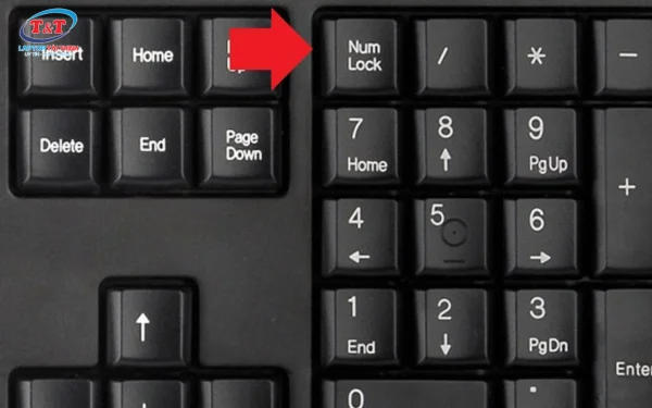 Sử dụng phím Numlock độc lập để mở